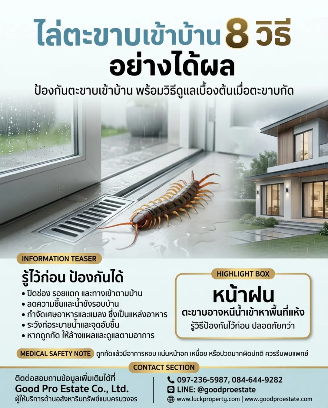 วิธีกำจัดและป้องกันตะขาบเข้าบ้าน เคล็ดลับรักษาบ้านให้น่าอยู่และปลอดภัยสำหรับทุกคน 🏠