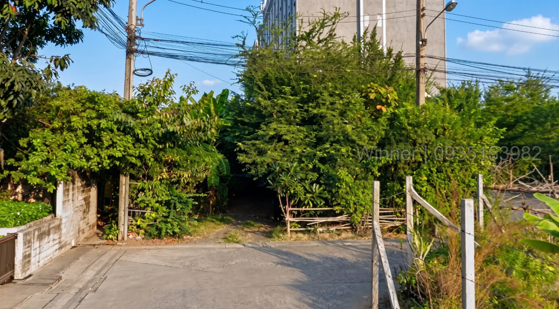 ขายที่ดิน หลัง Fashion Island ขนาด 190 ตร.ว. เหมาะทำ คาเฟ่ Home Office บรรยากาศสุด Private - รูป 4